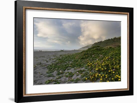 California Coast-wollertz-Framed Photographic Print