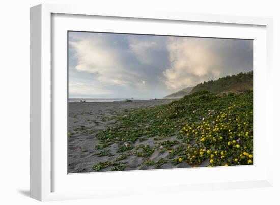 California Coast-wollertz-Framed Photographic Print