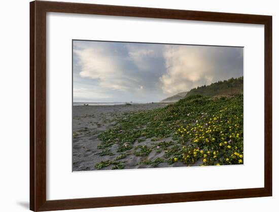 California Coast-wollertz-Framed Photographic Print