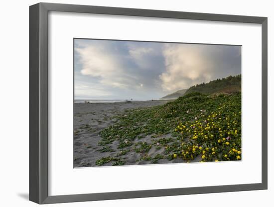 California Coast-wollertz-Framed Photographic Print