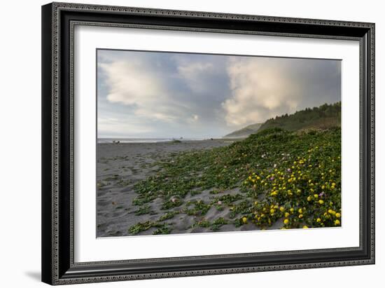 California Coast-wollertz-Framed Photographic Print