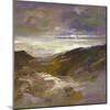 California Coast-Sheila Finch-Mounted Art Print