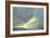 California Coastal Light-Sheila Finch-Framed Art Print