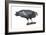 California Condor (Gymnogyps Californianus), Birds-Encyclopaedia Britannica-Framed Art Print