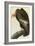 California Condor-John James Audubon-Framed Art Print