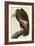 California Condor-John James Audubon-Framed Art Print