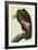 California Condor-John James Audubon-Framed Art Print