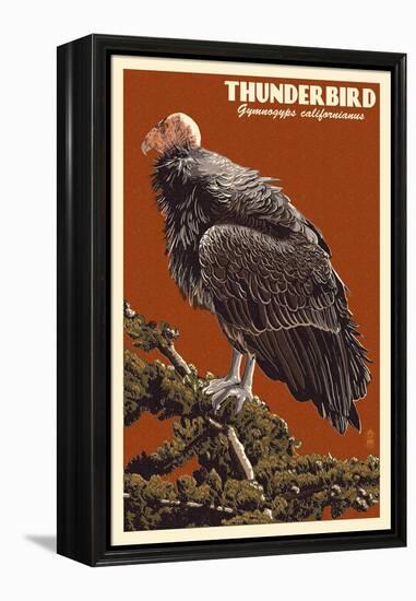 California Condor-Lantern Press-Framed Stretched Canvas