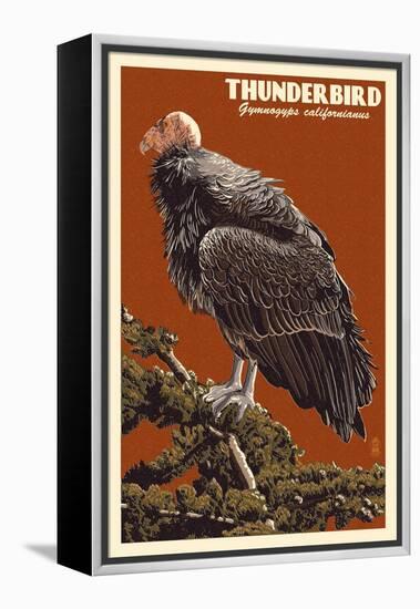 California Condor-Lantern Press-Framed Stretched Canvas