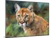 California Cougar-David Stribbling-Mounted Art Print
