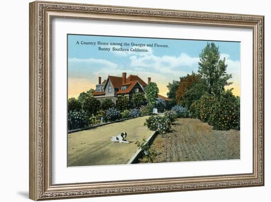 California - Country Home Among Oranges and Flowers Scene-Lantern Press-Framed Art Print