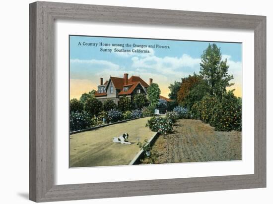 California - Country Home Among Oranges and Flowers Scene-Lantern Press-Framed Art Print