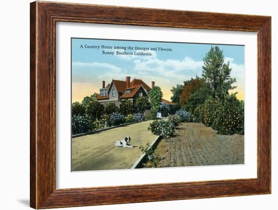 California - Country Home Among Oranges and Flowers Scene-Lantern Press-Framed Art Print