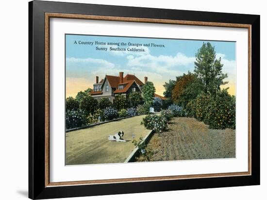 California - Country Home Among Oranges and Flowers Scene-Lantern Press-Framed Art Print