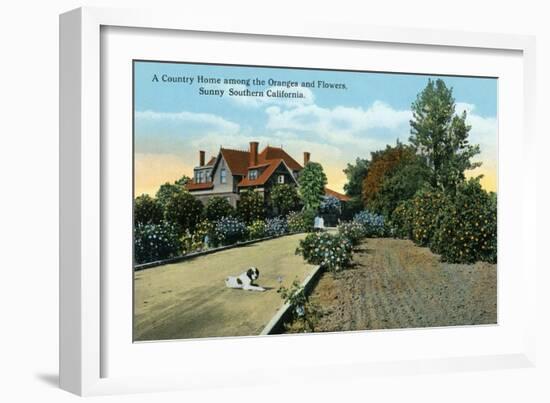 California - Country Home Among Oranges and Flowers Scene-Lantern Press-Framed Art Print