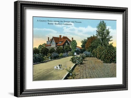 California - Country Home Among Oranges and Flowers Scene-Lantern Press-Framed Art Print