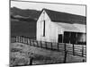 California Dairy Ranch-Dorothea Lange-Mounted Giclee Print