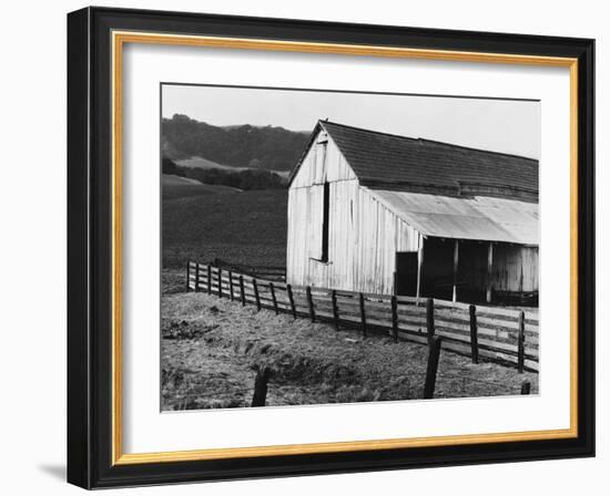 California Dairy Ranch-Dorothea Lange-Framed Giclee Print