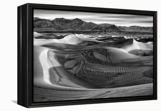 California, Death Valley National Park, Black-And-White Image of Mesquite Flat Dunes after Rain-Ann Collins-Framed Premier Image Canvas