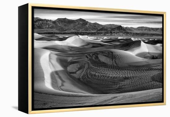 California, Death Valley National Park, Black-And-White Image of Mesquite Flat Dunes after Rain-Ann Collins-Framed Premier Image Canvas