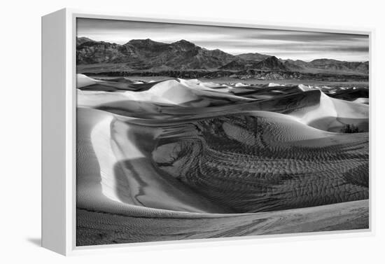 California, Death Valley National Park, Black-And-White Image of Mesquite Flat Dunes after Rain-Ann Collins-Framed Premier Image Canvas