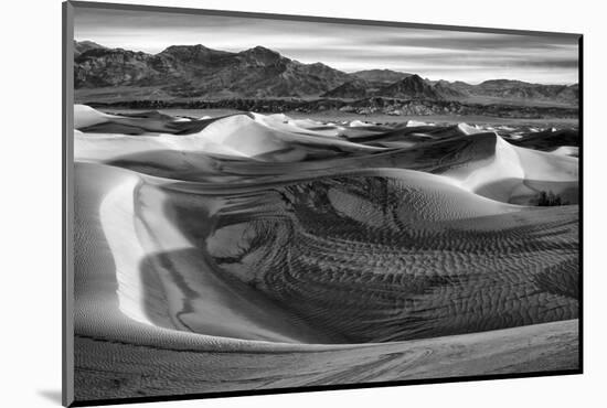 California, Death Valley National Park, Black-And-White Image of Mesquite Flat Dunes after Rain-Ann Collins-Mounted Photographic Print