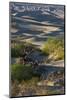 California. Death Valley National Park. Sunset Shadow on Sea of Sand Dunes, Mesquite Dunes-Judith Zimmerman-Mounted Photographic Print