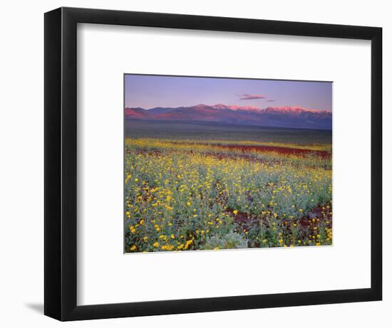 California, Death Valley National Park-John Barger-Framed Photographic Print