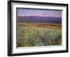 'California, Death Valley National Park' Photographic Print - John ...