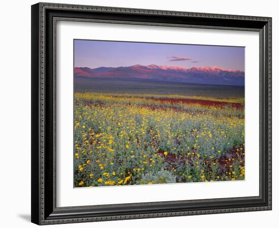 California, Death Valley National Park-John Barger-Framed Photographic Print