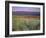 California, Death Valley National Park-John Barger-Framed Photographic Print