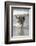 California, Del Mar. Dog Fetching Tennis Ball at Dog Beach del Mar-Kymri Wilt-Framed Photographic Print