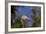 California. Dragonfly on Stem-Jaynes Gallery-Framed Photographic Print