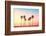 California Dreaming - Coastal Captivations-Philippe HUGONNARD-Framed Photographic Print