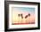 California Dreaming - Coastal Captivations-Philippe HUGONNARD-Framed Photographic Print