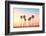 California Dreaming - Coastal Captivations-Philippe HUGONNARD-Framed Photographic Print