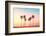 California Dreaming - Coastal Captivations-Philippe HUGONNARD-Framed Photographic Print