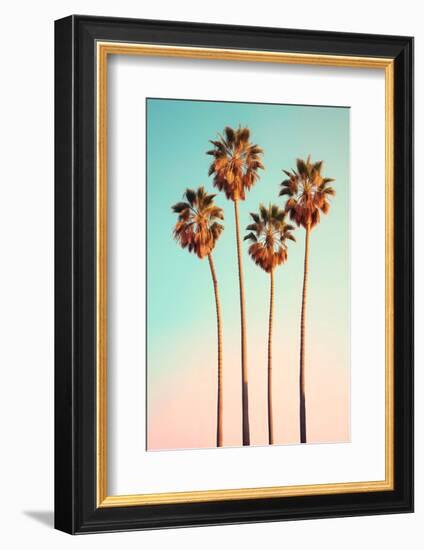 California Dreaming - Hollywood Palm Trees-Philippe HUGONNARD-Framed Photographic Print