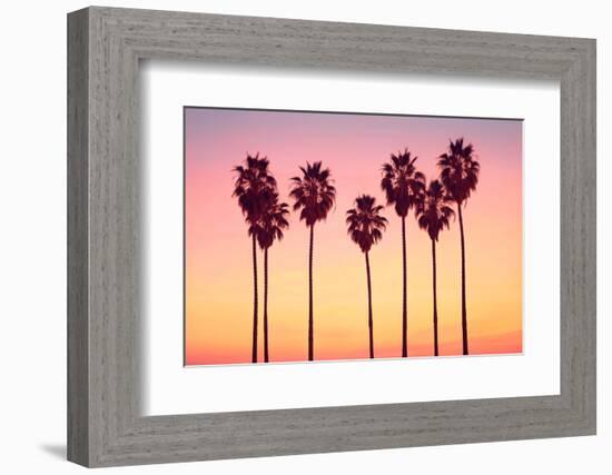 California Dreaming - Malibu Sunset's Palm Trees-Philippe HUGONNARD-Framed Photographic Print