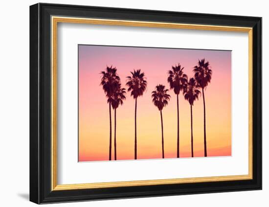California Dreaming - Malibu Sunset's Palm Trees-Philippe HUGONNARD-Framed Photographic Print