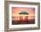 California Dreaming - Summer Sunset-Philippe HUGONNARD-Framed Photographic Print