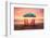 California Dreaming - Summer Sunset-Philippe HUGONNARD-Framed Photographic Print