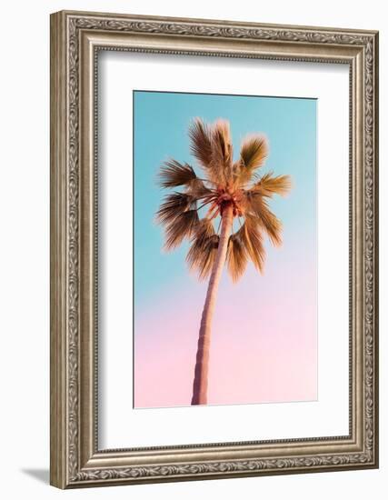 California Dreaming - The Pastel Palm-Philippe HUGONNARD-Framed Photographic Print