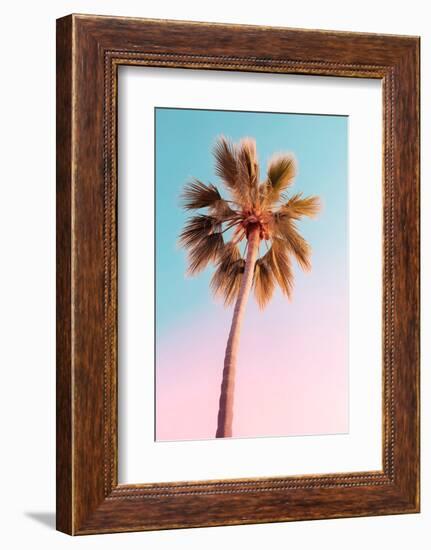 California Dreaming - The Pastel Palm-Philippe HUGONNARD-Framed Photographic Print