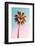 California Dreaming - The Pastel Palm-Philippe HUGONNARD-Framed Photographic Print