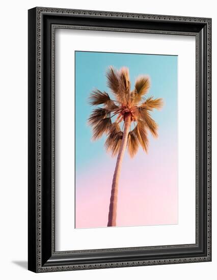 California Dreaming - The Pastel Palm-Philippe HUGONNARD-Framed Photographic Print