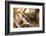 California, Drought Spotlight 3 Route 66 Expedition-Alison Jones-Framed Photographic Print