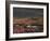 California, Dumont Dunes, a Rainbow Above Dunes and Wildflowers-Christopher Talbot Frank-Framed Photographic Print