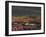 California, Dumont Dunes, a Rainbow Above Dunes and Wildflowers-Christopher Talbot Frank-Framed Photographic Print