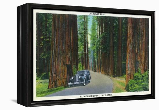 California - Dyerville Flat Scene on the Redwood Highway-Lantern Press-Framed Stretched Canvas